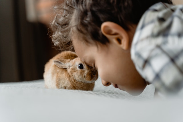 باید به کودکان یاد بدهیم با حیوانات مهربان باشند