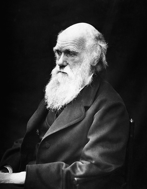 چارلز داروین؛ داروینیسم از نظریه داروین 